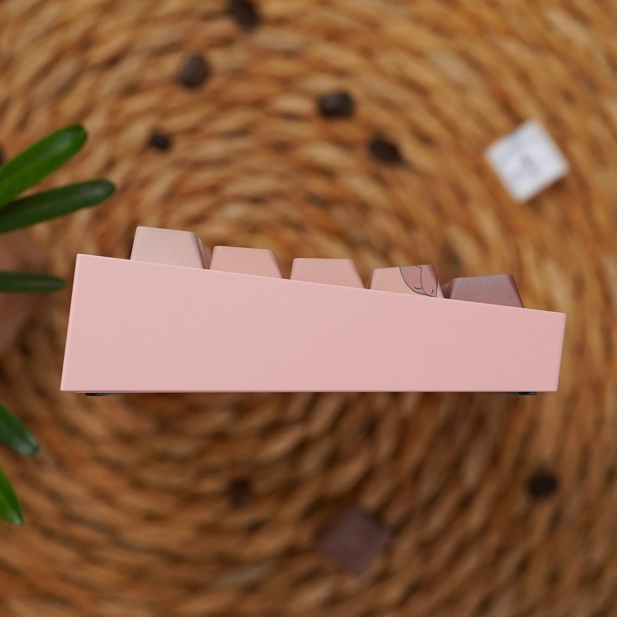 Capybaras daily lifer Cherry Profile Keycaps Set - Image 5